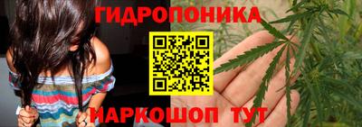 МДПВ Кандалакша