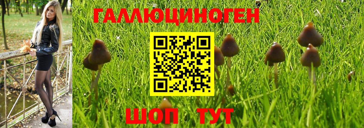Краснознаменск  где купить   Вход с VPN  Псилоцибиновые грибы Psilocybe  Галлюциногенные грибы мицелий 
